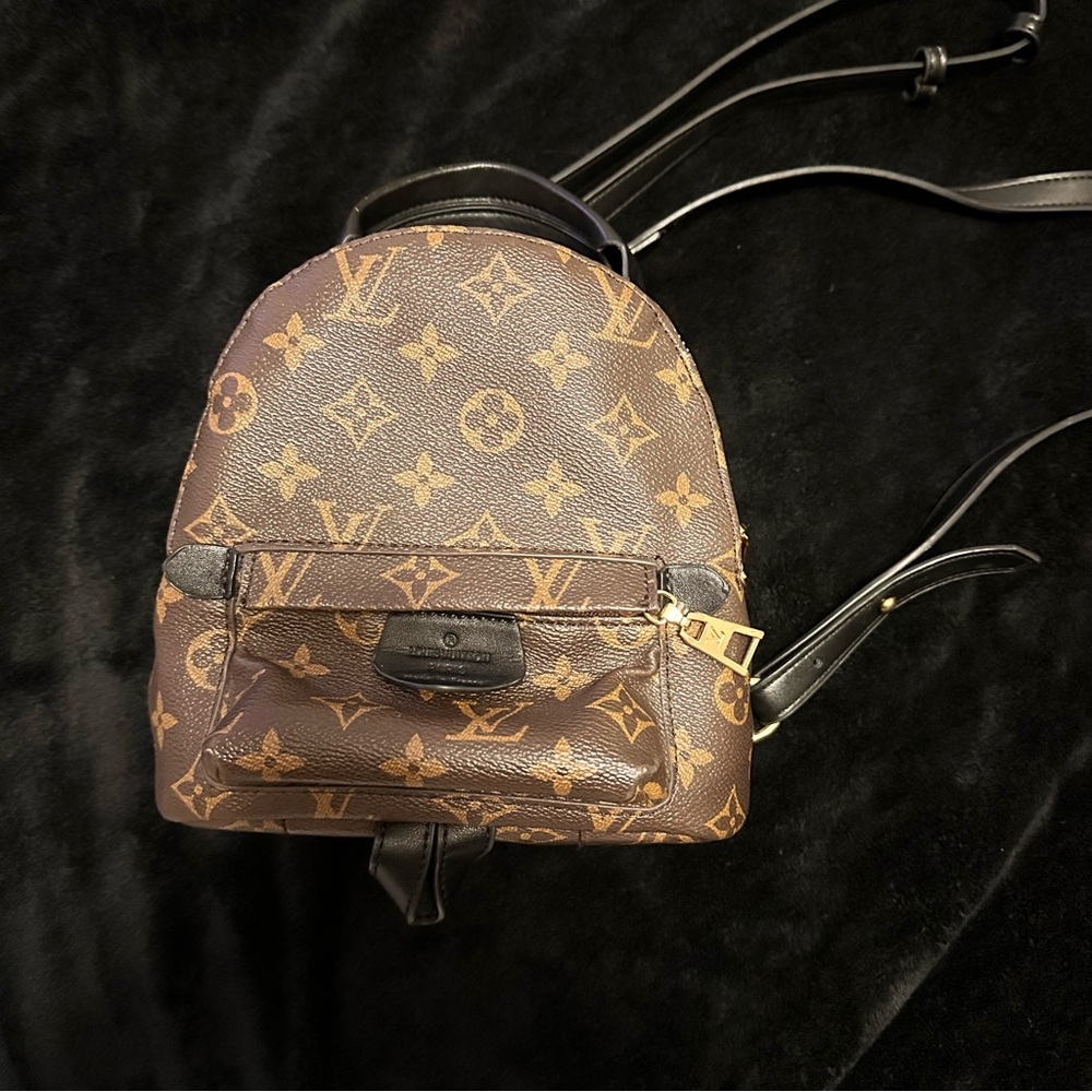 Monogram Palm Springs Mini Backpack